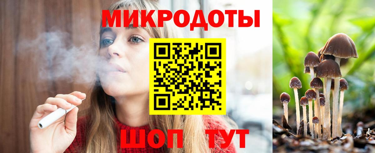 Псилоцибиновые грибы Psilocybe Дзержинск