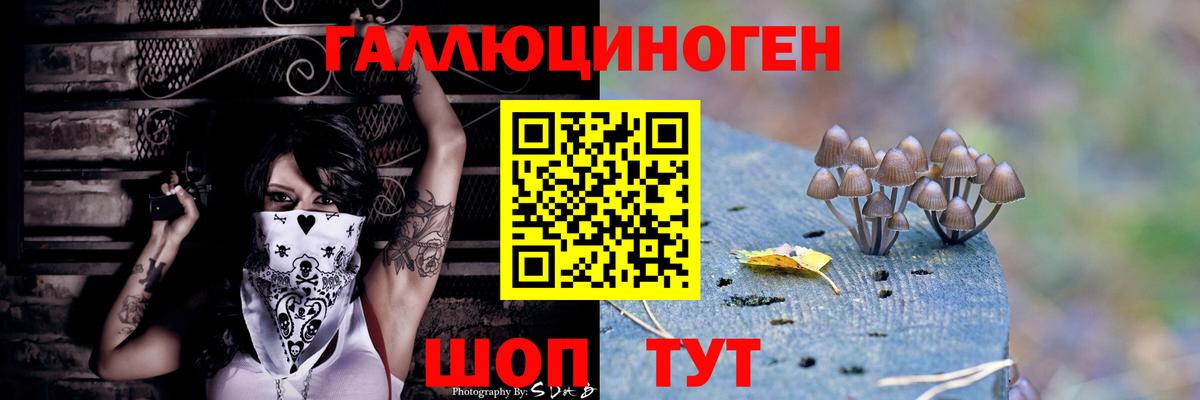 Дзержинск  как найти закладки  Вход с VPN  Псилоцибиновые грибы MAGIC MUSHROOMS 